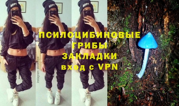 герыч Бронницы