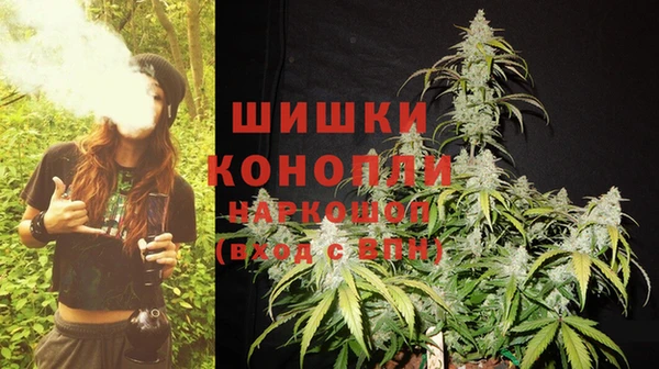 кокс Бородино